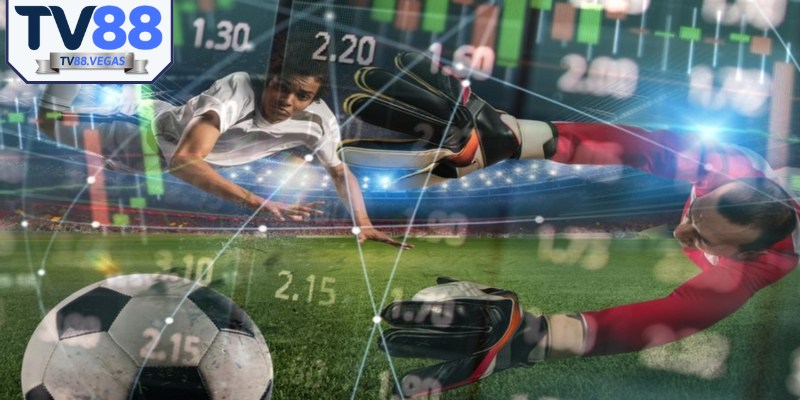 Anh em cần phải nắm rõ một vài lưu ý quan trọng khi chơi 