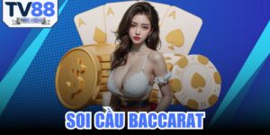 Soi Cầu Baccarat